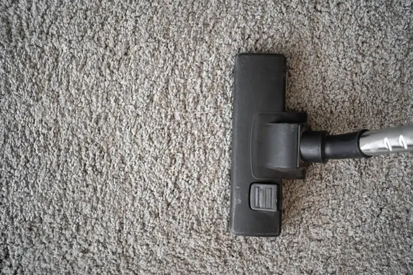 Technician cleaning a rug